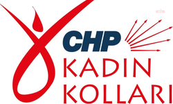 CHP 14. Dönem Kadın Kolları MYK üyelerinden Özgür Özel'e destek