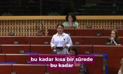 CHP’li Gökçen: "Kadınların adalete erişimi, Avrupa'nın karşılaştığı en acil sorunlardan biri"