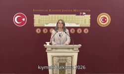 CHP'li Suiçmez: Çay üreticisi plansızlığın bedelini ödemek zorunda değildir