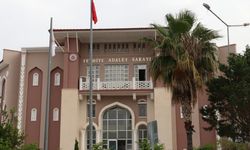 Elini kolunu sallayarak gezen cinsel saldırı sanığı eski öğretim görevlisi için karar verildi