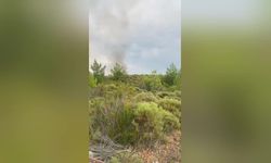 Muğla ve Aydın’da yıldırım düşmesi kaynaklı 6 yangına müdahale sürüyor