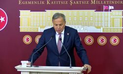 Seyit Torun: TMO, fındığın fiyatını daha aşağı çekmenin önünü açacak