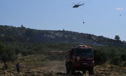 Urla’da orman yangını