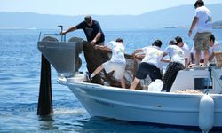 Bodrum'da denizden 2 bin metrekare hayalet ağ çıkarıldı