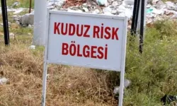 O ilçede kuduz karantinası!