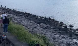 2 gündür aranan polis memuru sahilde ölü bulundu