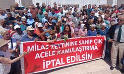 Akbelen direnişçisi Esra Işık'ın yargılandığı dava 6 Temmuz'a ertelendi