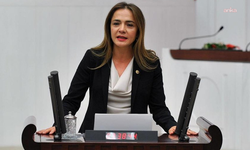 CHP'li İlgezdi: Otoyol ve köprüler ceza makinesi haline geldi