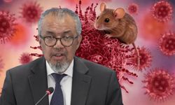 DSÖ Genel Direktörü Ghebreyesus'tan hantavirüs salgını açıklaması!