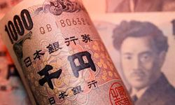 Japonya Merkez Bankası faizi 31 yılın zirvesine çıkardı: Yüzde 1