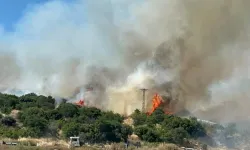 Çanakkale'de orman yangını