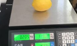 Türkiye'de limonun tanesi 24 lira!