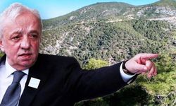 Çalık ve Cengiz Holding Karadeniz'i zehirleyecek