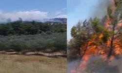 Muğla'da orman yangını! Alevler rüzgarın etkisiyle büyüdü
