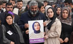 Van Barosu çekildi, Rojin Kabaiş dosyasını Karabulut devraldı
