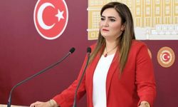 Sevda Erdan Kılıç: Baskılarla, tehditlerle ve ailemi hedef alan girişimlerle karşılaştık
