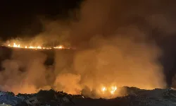 Bodrum’da korkutan yangın: Alevler rüzgarın etkisiyle hızla yayıldı!