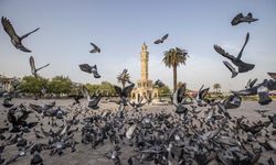 İzmir iklim nötr kent olmayı hedefliyor