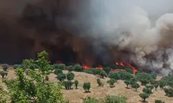 Diyarbakır'da iki ayda 100 bin hektar alan yangınlardan etkilendi