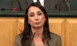 DEM Parti'den iktidara çağrı: Çerçeve yasa daha fazla geciktirilmemeli