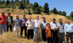 1200 rakımlı köylerde imeceyle buğday hasadı