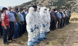 Bir ısırıkla başı döndü, iştahtan kesildi: 15 gün sonra öldü
