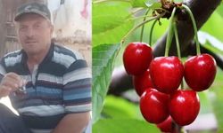 Kastamonu’da şüpheli ölüm: Kiraz yedikten sonra yaşamlarını yitirdiler