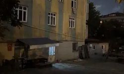Babasını ve abisini bıçaklayan amcasını vurdu