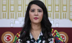 EMEP'li Karaca'dan vakıf üniversitelerine tepki: Üniversiteler patronların muhasebe defterlerini aklama yeri değil