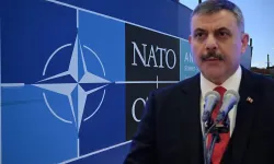 Bakan Çiftçi: NATO tedbirlerini abartmadık, sokak hayvanlarının yüzde 88'i toplandı