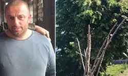 Rize'de budama yaptığı ağaçta akıma kapıldı! Feci şekilde can verdi