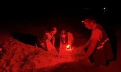 İklim değişikliği deniz kaplumbağalarının cinsiyetini etkiliyor