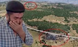 Sivas'ta besicinin feryadı: 5 günde 9 buzağımız öldü