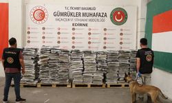 Kapıkule'de dev uyuşturucu operasyonu: 1,2 ton uyuşturucu ele geçirildi