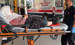 Bursa'da tarım işçilerini taşıyan minibüs devrildi! 7 kişi yaralandı