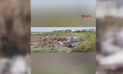 Karakoç Deresi Sulak Alanı’na inşaat atığı döküldü: İnceleme başlatıldı