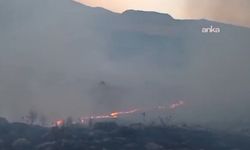 Adıyaman'daki orman yangınına havadan ve karadan müdahale sürüyor!