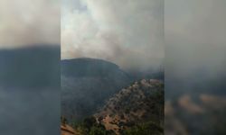 Adıyaman’da orman yangını