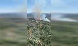 Antalya'daki orman yangınında son durum