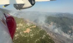 Antalya'nın Kaş ilçesindeki orman yangınında son durum