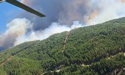 Aydın Çine'de orman yangını: 4 helikopter, 2 uçak ile müdahale!