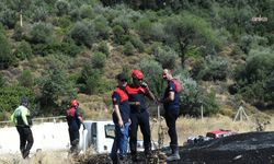 Bornova'daki orman yangını: İzmir İtfaiyesi bukalemunu hayata döndürdü