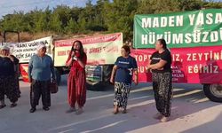 Çevre gönüllüleri, ağaç kesimlerinin üçüncü yılında Akbelen Ormanı’nda buluştu