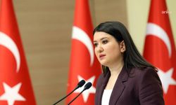 CHP'li Gökçen'den komedyen Göktaş'ın gözaltına alınmasına tepki