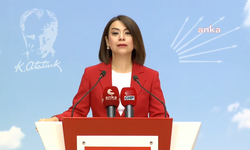 CHP’li Taşcıer: “Kadın cinayetleri kader değil, siyasi tercihlerin sonucudur”