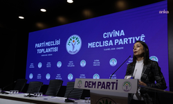 DEM Parti: "Çerçeve yasa, dar kapsamlı ve sınırlı düzenlemelerden ibaret olmamalıdır"