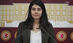 DEM Partili Güneş: DEDAŞ’ın Mardin'deki elektrik kesintileri yaşam hakkı ihlaline dönüştü