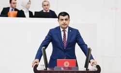 Deniz Demir'den iktidara 'öğrenci affı' tepkisi: "Ayrımcı ve eksik yaklaşımdan derhal vazgeçmeye davet ediyoruz"