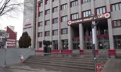 Gülistan Doku soruşturması... Tutuklu eski Tunceli Valisi Sonel hakkında yeni tutuklama kararı