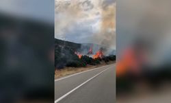 Isparta'da orman yangını: Alevlere hava ve kara araçlarıyla müdahale!